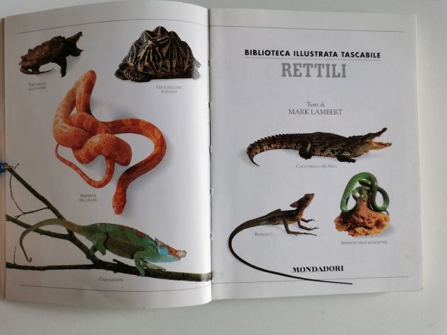 LIBRO ( BIBLIOTECA - RETTILI ) - Foto 4
