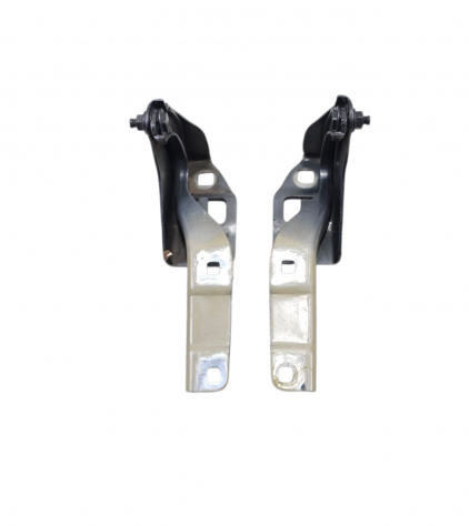 CERNIERE COFANO ANTERIORE DX E SX FIAT Panda Cross 51841973 (14)