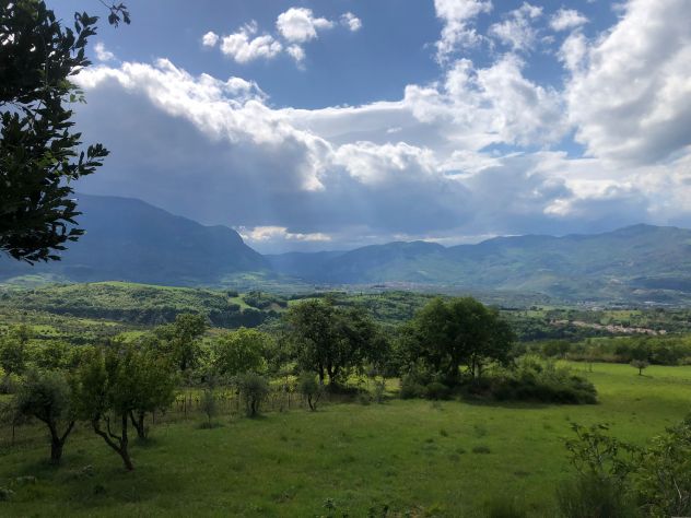 Ampia Tenuta Agricola in Abruzzo - Foto 5