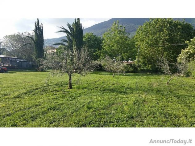 vitalizio per animali domestici - Foto 3