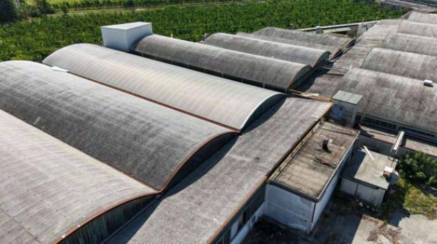 Immobile in asta di 8957 m² in vendita a Cotignola - Foto 6