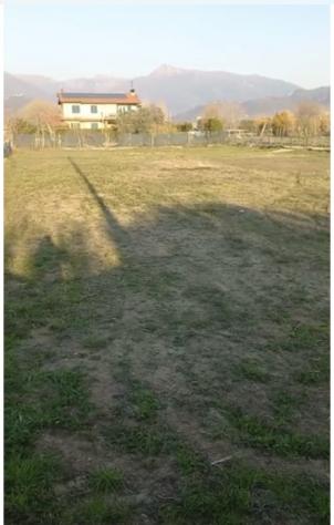 Agricolo in vendita a Pietrasanta - Foto 2