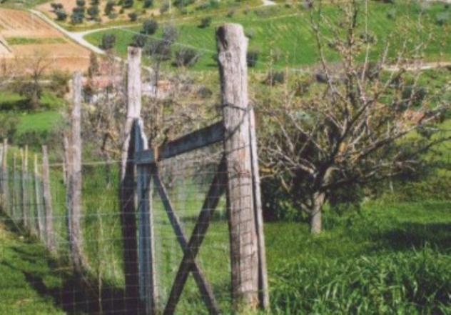 Immobile in asta di 2000 m² in vendita a Roggiano Gravina - Foto 7