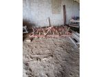 Estirpatore larghezza mt. 250