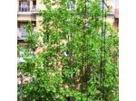 Up Bologna B&B