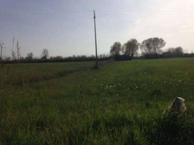 Immobile in asta di 73180 m² in vendita a Cavallino-Treporti - Foto 3