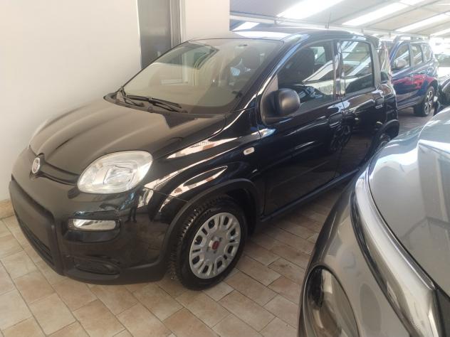 Fiat Panda 1.0 FireFly S&S Hybrid - Foto 2