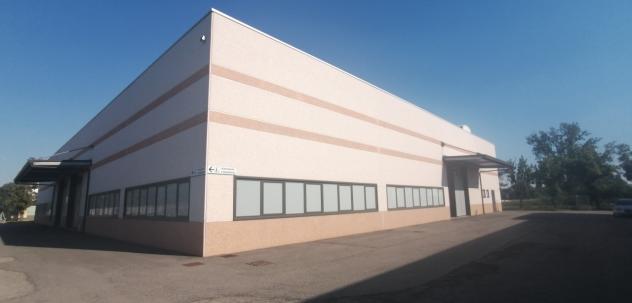 Industriale/Artigianale in vendita a Novi di Modena - Foto 17