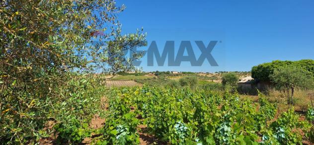 Terreno in vendita a Noto - Foto 6