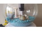 Acquario