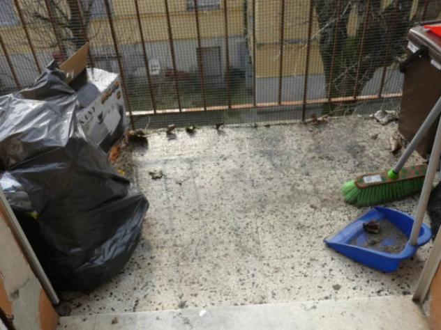 Immobile in asta di 70 m² in vendita a Modena - Foto 5