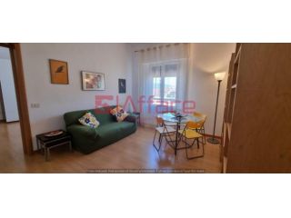 Appartamento in affitto a Pontedera 50 mq Rif: 782063