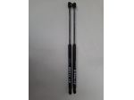 PISTONCINI COFANO POST. FIAT Bravo 2° Serie 51812267 (0710)