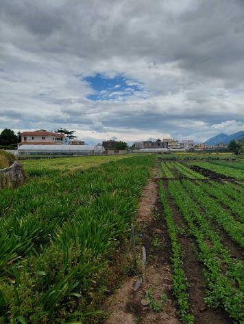 Agricolo in Traversa Schito - Foto 4