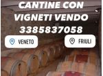 CANTINA CON VIGNETI ANCHE DI PROSECCO