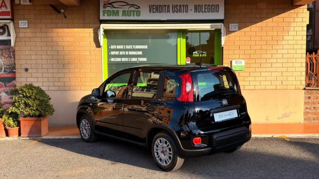 Fiat Panda 1.0 FireFly S&S Hybrid - Foto 4