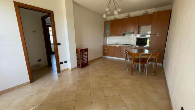 Appartamento in affitto a Calcinaia 55 mq Rif: 1419050