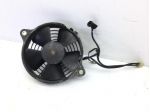 HONDA @ CHIOCCIOLA 150 ELETTROVENTOLA RAFFREDDAMENTO RADIATORE 2000 2002