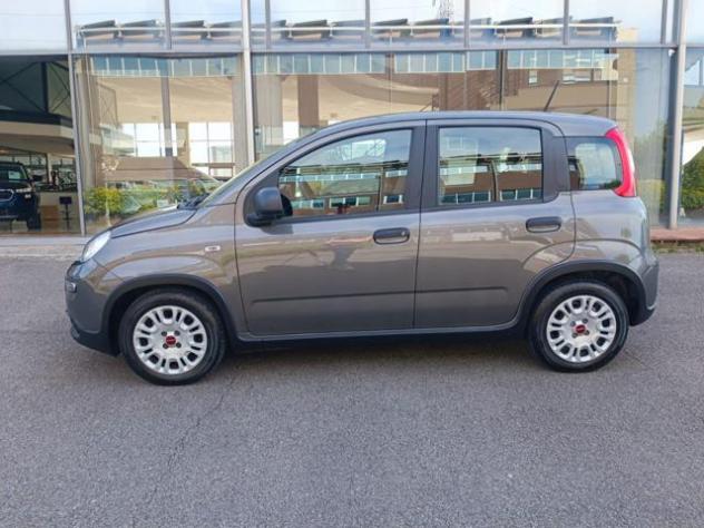 FIAT Panda 1.0 FireFly S&S Hybrid rif. 23911198 - Foto 6