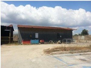 Tribunale di Siracusa - RG 44/2001 Fabbricati industriali in asta - Foto 3