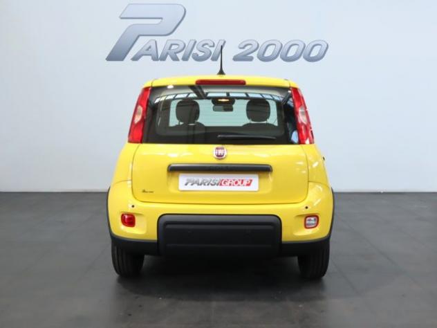 FIAT Panda 1.0 FireFly S&S Hybrid new version 2024 rif. 19560691 - Foto 7
