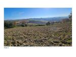IMMOBILI-ALTRA CATEGORIA-Strada Provinciale 34, 60020 Agugliano AN, Italia