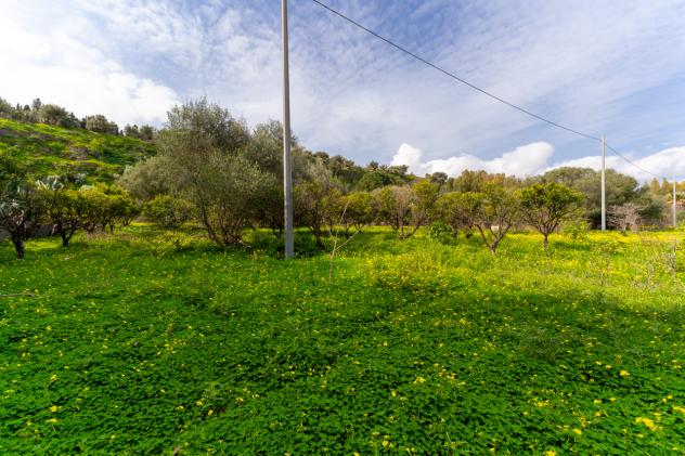 Agricolo in vendita a Catania - Foto 7