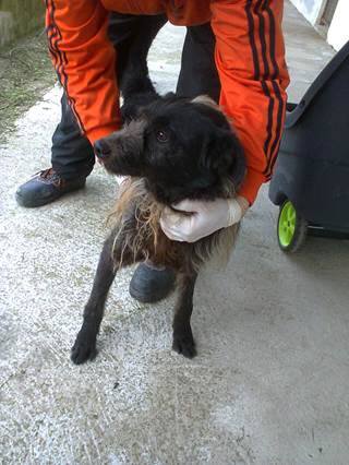 LAMPO, adozione speciale - Foto 2