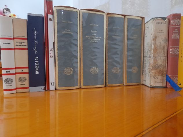 Libri antichi e moderni, perfettamente conservati nelle strutture originali. - Foto 9