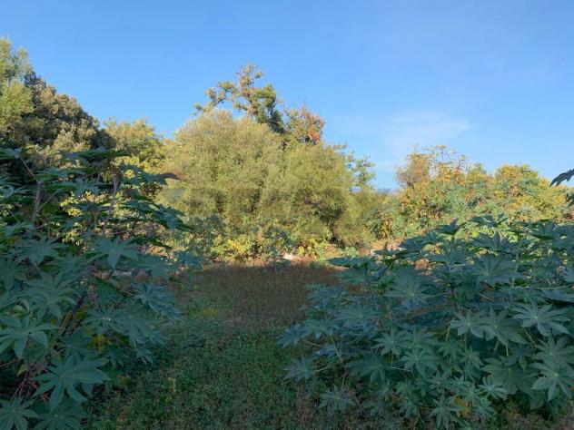 Terreno in vendita a Aci Catena - Foto 20