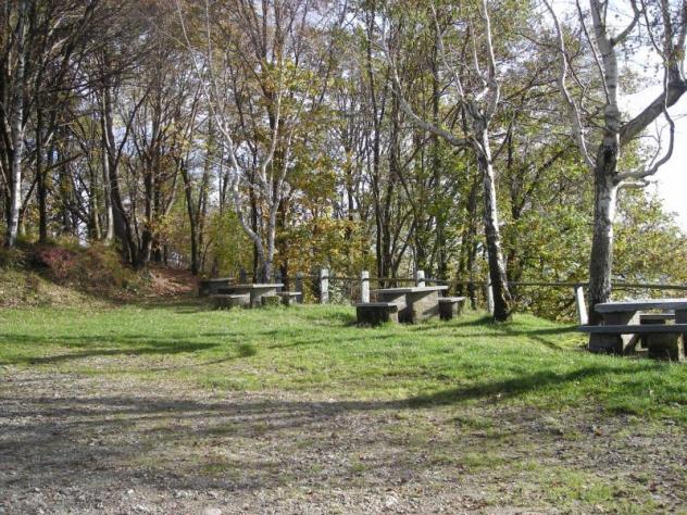 Terreno edificabile in vendita a Miazzina - Foto 13