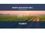 Immobile in asta di 17100 m² in vendita a Monte San Giusto