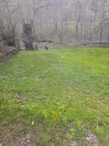 Rustico in vendita a Sillano Giuncugnano 90 mq Rif: 1332028 - Foto 6