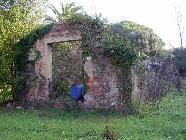 Agriturismo in Vendita in zona DONORATICO con giardino - Foto 16