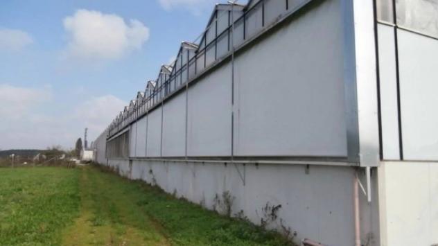 Immobile in asta di 5683 m² in vendita a Castenaso - Foto 5