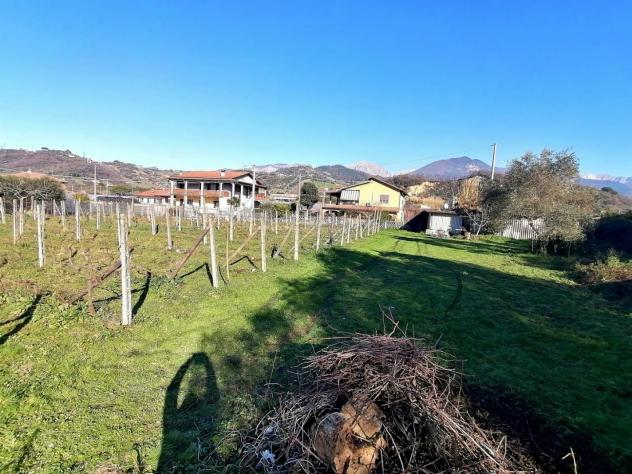 Terreno agricolo in vendita a Alteta - Massa 1600 mq Rif: 1026924 - Foto 4