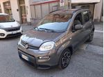 FIAT Panda 1.2 EasyPower City Life rif. 23899778