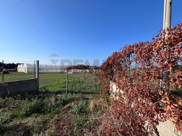 Terreno in vendita a Pachino - Foto 6