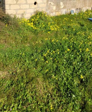 Immobile in asta di 19580 m² in vendita a Vittoria - Foto 5