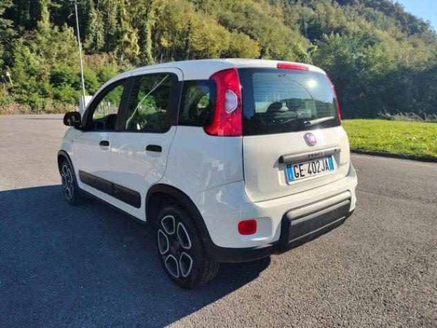 FIAT Panda 1.0 FireFly 70cv S&S Hybrid - Foto 8