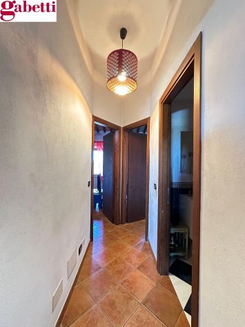 Rif. S2696 - Siena – Lucignano d'Arbia - Quinciano - orto e posto auto - Foto 9