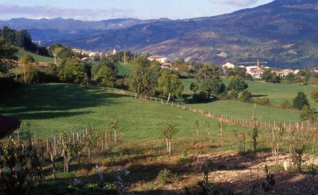 Terratetto in vendita a Pennabilli - Foto 8