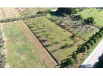 Terreno agricolo in vendita a Piombino 7850 mq  Rif: 1441317