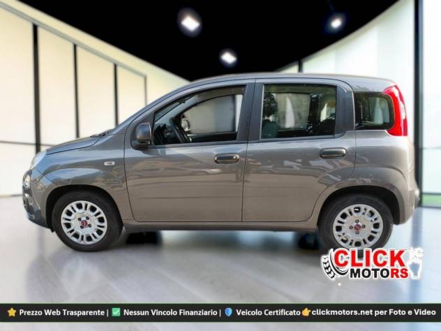 Fiat Panda III Panda III 2020 1.0 firefly hybrid s&s 70cv - Foto 8