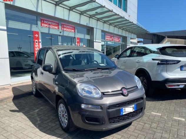 FIAT Panda 1.0 FireFly S&S Hybrid rif. 24077716 - Foto 3