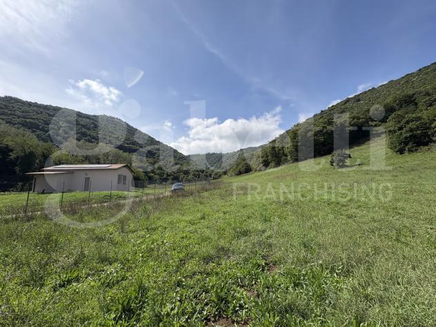 Terreno Agricolo - Segni . Rif.: Cod. rif 3261218VCG