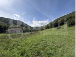 Terreno Agricolo - Segni . Rif.: Cod. rif 3261218VCG
