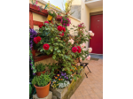 Appartamento centro storico di san Damiano d'Asti