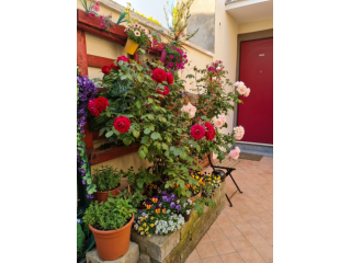 Appartamento centro storico di san Damiano d'Asti