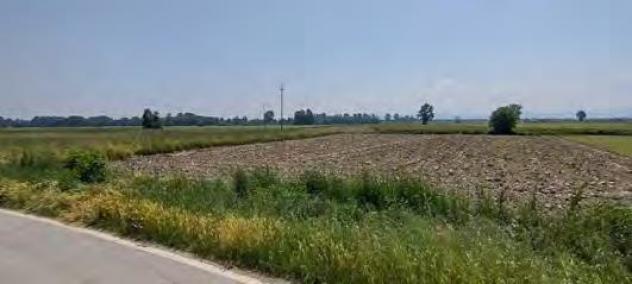 R.G.E. 489/2022 Pavia - Foto 4